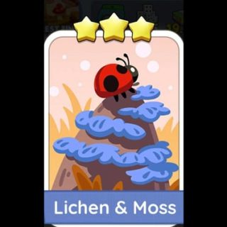 Lichen & Moss