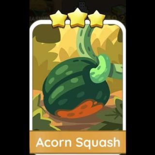 Acorn Squash