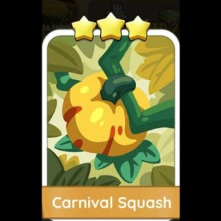 Carnival Squash