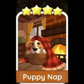 Puppy Nap