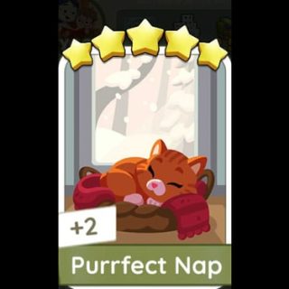 Purrfect Nap