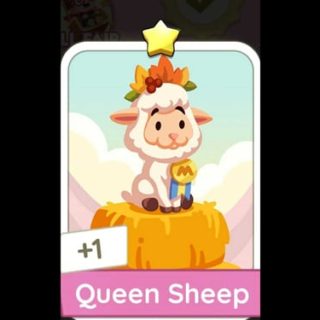 Queen Sheep