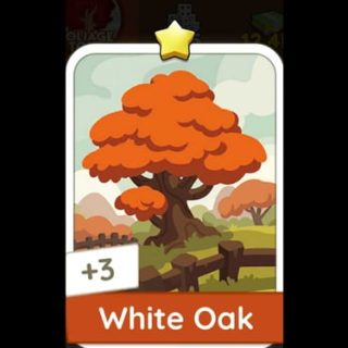White Oak