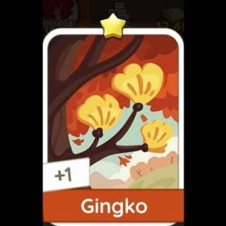 Gingko