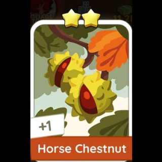 Horse Chestnut