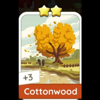 Cottonwood